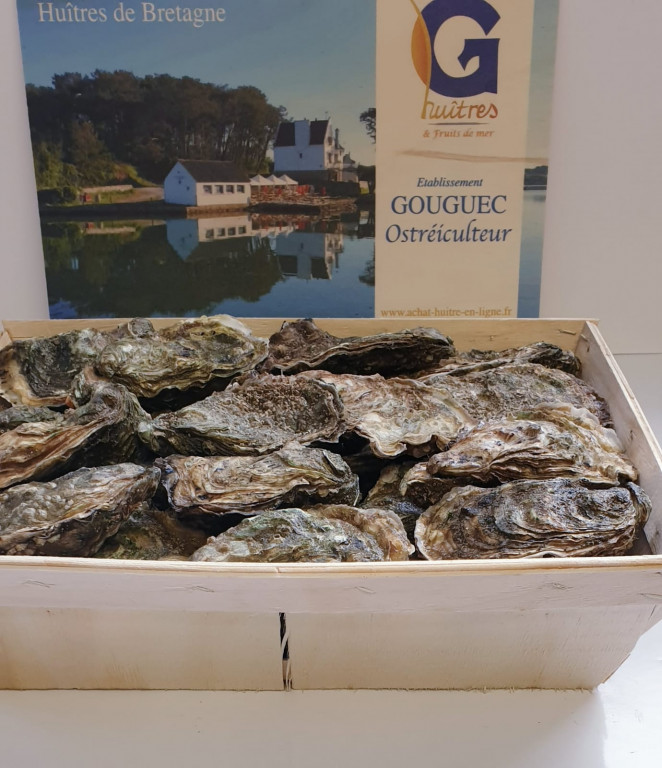 Déguster des huîtres dans le Golfe du Morbihan